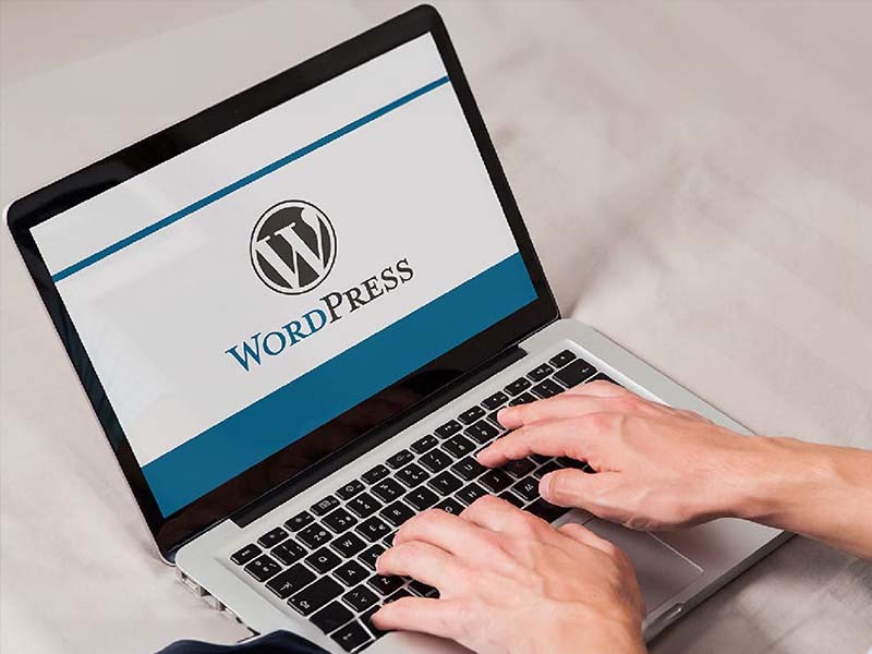 Scalable SolutionsAs your business grows, your website evolves with it.